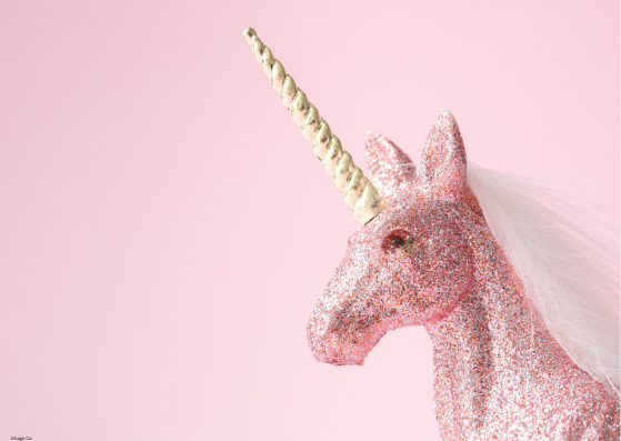 Village Co. sparkly unicorn